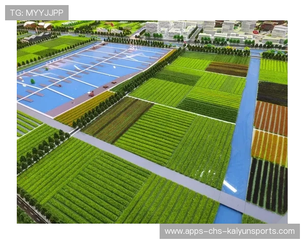 职业农业生态循环系统工程师的调控：他是如何通过有机肥平衡养分的